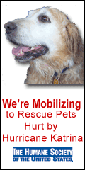 link to Humane Society's Katrina Pet Rescue